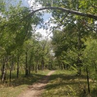 Тропинка... :: Андрей Хлопонин