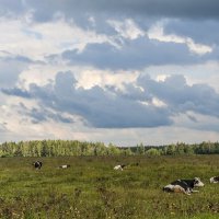 Сиеста :: Валерий Иванович