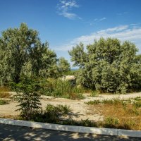 Берег :: Анатолий Чикчирный