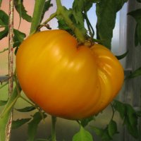 Вкусняшка :: Людмила Смородинская Вкусняшка :: Людмила Смородинская