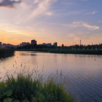 Августовский вечер на озере Долгое. :: Ольга 