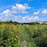 Августовский день. :: Ольга 