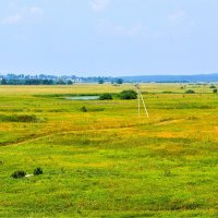 Алатырь. Пойменное озеро Кривуши. :: Пётр Чернега