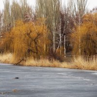 был март :: Елена Шаламова