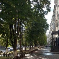 *** :: Валентина Береснева