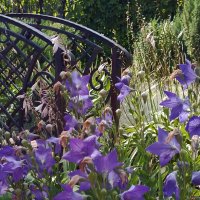 *** :: Валентина Береснева