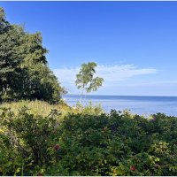 К МОРЮ,,,,,, :: Валерия Комова