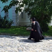 Лучшие ученики  Христа. Монахи Троице-Сергиевой лавры. :: Татьяна Помогалова