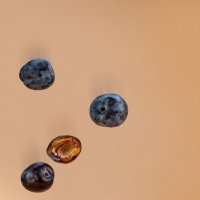 Веселая пандочка :: Denis Doroshenko