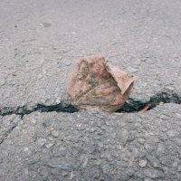 Прошлая осень, прошлого года. :: Игорь Солдаткин