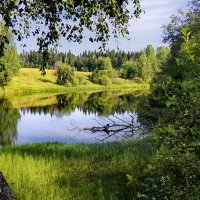 берег :: Ольга Cоломатина