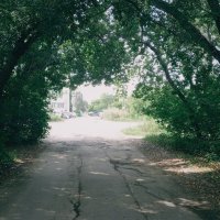 Лесные ворота. :: Игорь Солдаткин