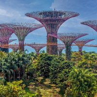 Сингапур :: Aleksey Afonin Сингапур :: Aleksey Afonin