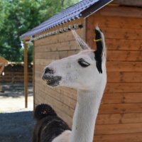 ... :: Митяй Митрич