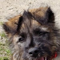 Очаровашка. :: Александр Кондаков