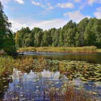 *** :: Александр Хаецкий