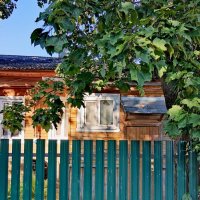 Лето. :: Любимова Ольга 