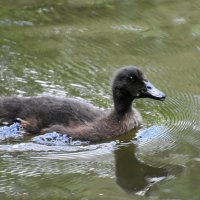 Москва. Сад будущего. Малыш. :: Наташа ***** Москва. Сад будущего. Малыш. :: Наташа *****