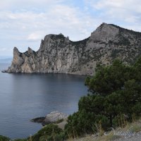 Природа Крыма :: Amazing Cosmea