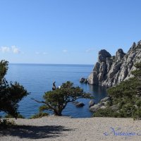 Природа Крыма :: Amazing Cosmea