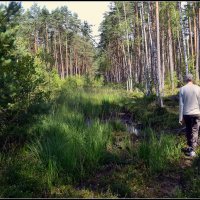 Август... :: Aleksandr Gal