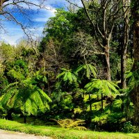 Magic Azores 80 :: Arturs Ancans