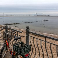 Пионерский :: Дмитрий 