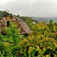 ГОРНЫЙ ПОСЕЛОК ПЛАСТУНКА :: Tata Wolf