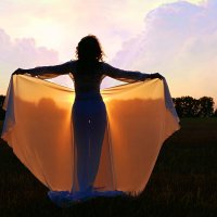 Ночной мотылек) :: Олег 