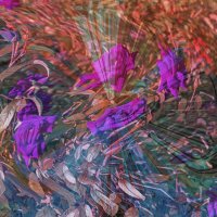 Танец роз :: Сергей Фомичев