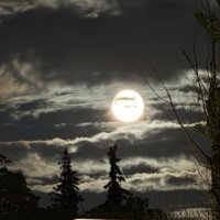 LUNA :: Анна Камс