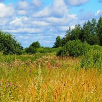 Лето в августе. :: Милешкин Владимир Алексеевич Лето в августе. :: Милешкин Владимир Алексеевич