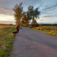 вечерняя прогулка с собакеным :: Артём 