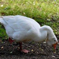 Москва. Сад будущего. :: Наташа ***** Москва. Сад будущего. :: Наташа *****