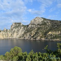 Природа Крыма :: Amazing Cosmea