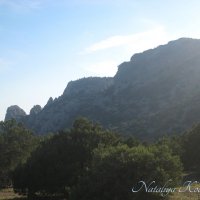 Природа Крыма :: Amazing Cosmea