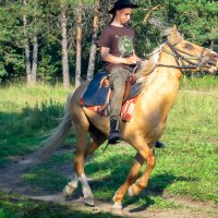 Всадник :: Галина Муха