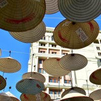 Синее небо над головой.... :: Наталья Вязигина