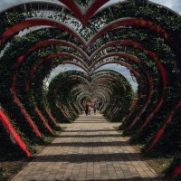 Парк влюбленных. :: Лилия .