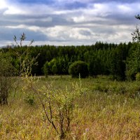 Август :: Светлана SvetNika17