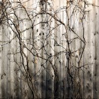 /// :: Виктор Никитенко /// :: Виктор Никитенко