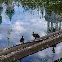 *** :: ирина )))