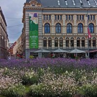 Август в Риге .. :: Татьян@ Ивановна