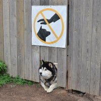 ...Покушать не откажусь:)) :: Рудаков Сергей 