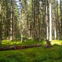 * :: k-e-r-g-u-d-u DM