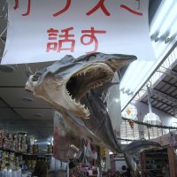 Зубастая зверюга!:))) На центральном рынке Валенсии. :: unix (Илья Утропов)