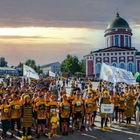 Пчёлки :: arkadii 