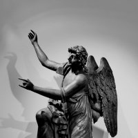 Тени :: Любимова Ольга 