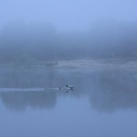 Синий туман. :: Михаил Колосов 