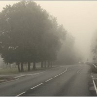 Туман :: Aleksandr Gal